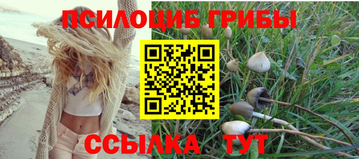 Галлюциногенные грибы мицелий  Вход с VPN  Алексин 