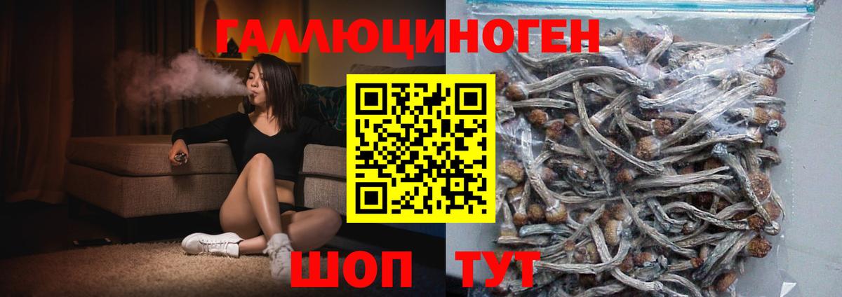 Псилоцибиновые грибы прущие грибы Алексин